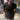 Diego Muscle Tee T-Shirt Classic Black 