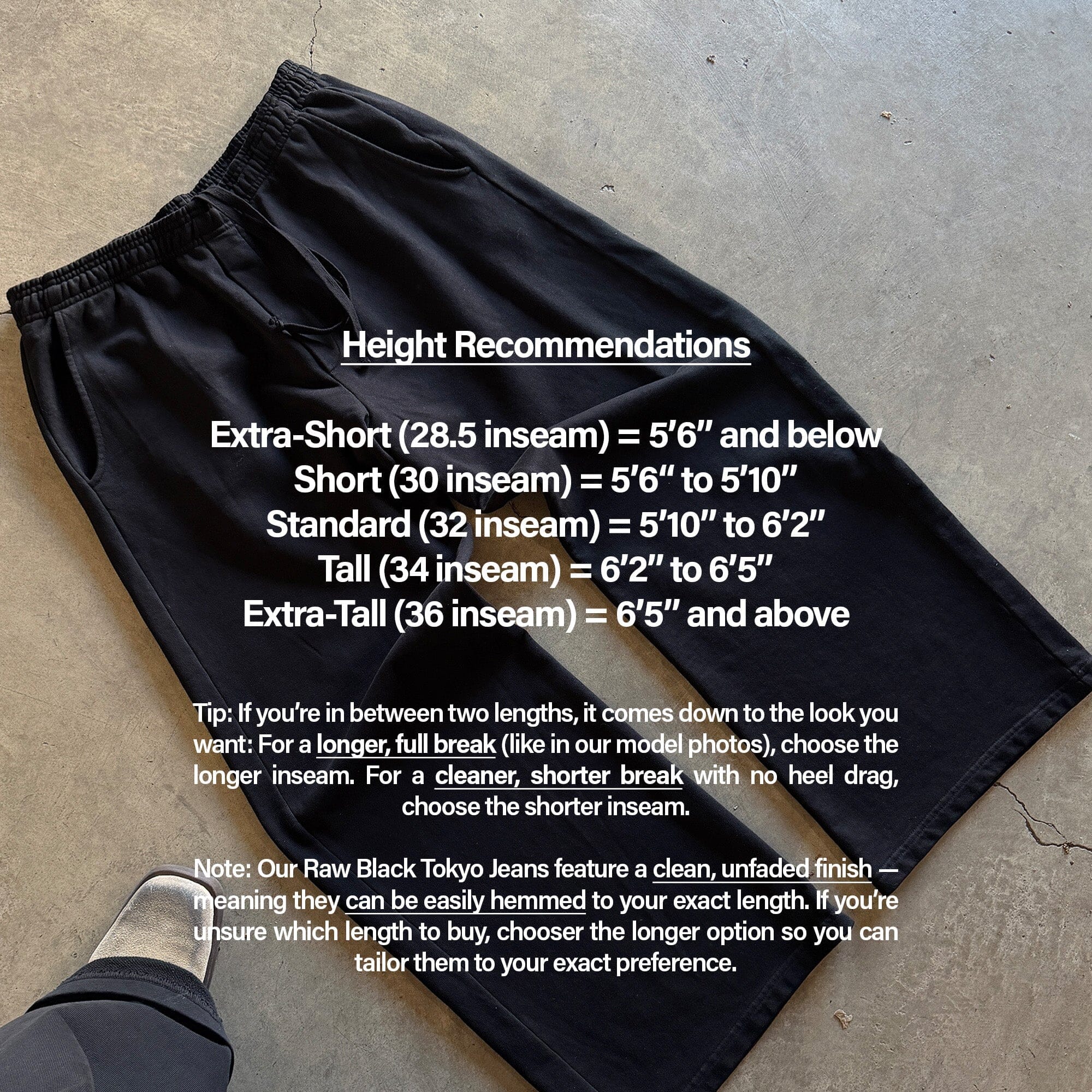 Lafayette Studio Pants II (Sweats) Classic Black 