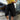 Shibuya Pleated Twill Shorts II Classic Black 
