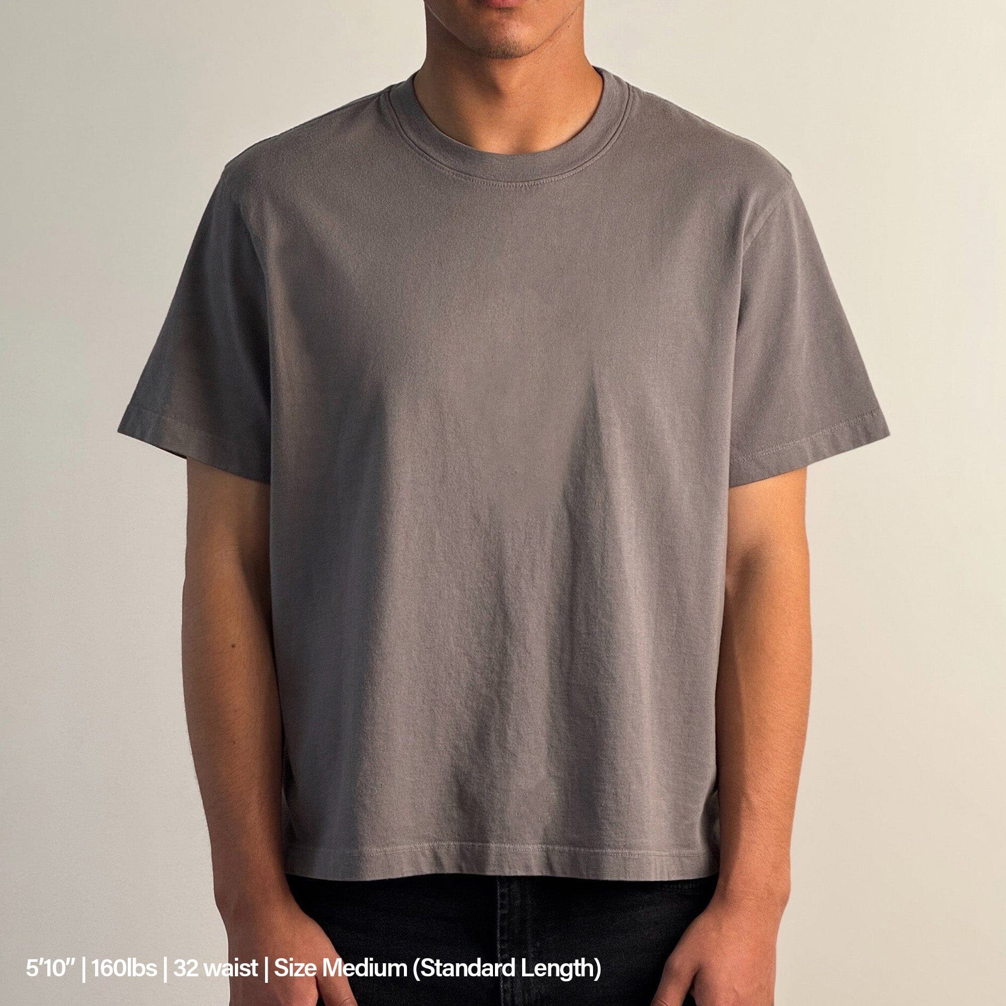 Silverlake Crop Tee II T-Shirt Smoke Grey 